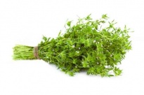 Thyme - Frozen herbs