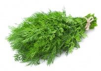Dill - Frozen herbs