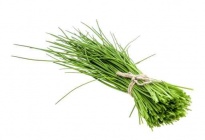 Chives - Culinary herbs