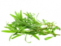 Tarragon - Culinary herbs