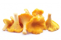 Chanterelle - Freeze-dried Mushrooms