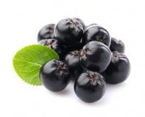 Chokeberry - Freeze -dried Fruits