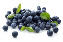Blueberry - Freeze -dried Fruits