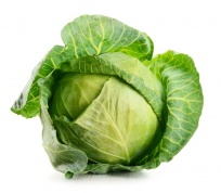Cabbage -  Freeze-dried Vegetables