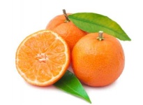 Orange - Freeze -dried Fruits