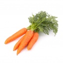 Carrot -  Freeze-dried Vegetables