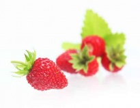 Wild Strawberry - Freeze -dried Fruits