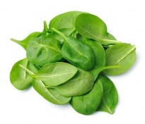 Spinach -  Freeze-dried Vegetables
